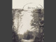 Adolescent Dreams - The Life We Knew