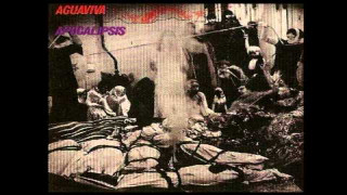 Explore the Meaning of Aguaviva - No Nos Dejan Cantar Lyrics