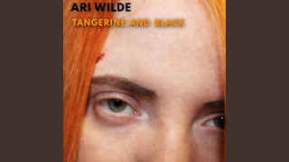 Explore the Meaning of Ari Wilde - Malady Lyrics