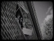 Lyrics: Beren Olivia - Bloodhound