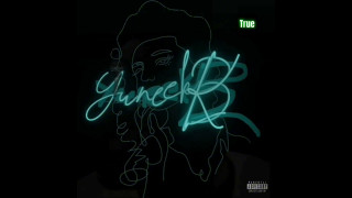 Explore the Meaning of Blanka Yuneek - True Lyrics