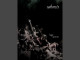 Catharsis - Gone To Croatan
