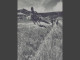 Deadclou - Where The Birds Chirp