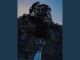 Lyrics: Delaney Bailey - Lion