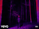 Lyrics: Destroy Lonely - State To State