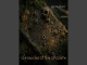 Lyrics: Digital Dissent - The Watchers Reign