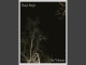 Lyrics: Escape Durgin - Like Vultures