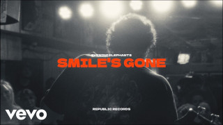 Explore the Meaning of Evening Elephants - Smiles Gone Lyrics
