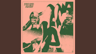 Explore the Meaning of FREUND - Flutter Lyrics