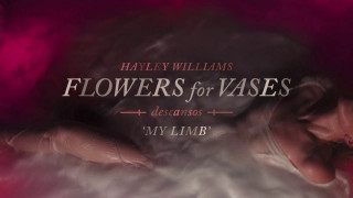 Explore the Meaning of Hayley Williams - Ice In My OJ Lyrics