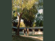 Lyrics: Holden McRae - Going Out Like This