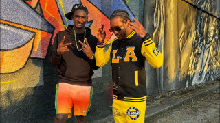 Explore the Meaning of Licon Officiel - Focus Lyrics