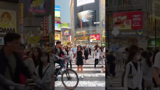 Explore the Meaning of Licon Officiel - Shibuya Lyrics