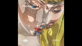 Explore the Meaning of Lili Fire - Chetito Lyrics
