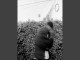 Lyrics: Mick Jenkins - 456 Semm