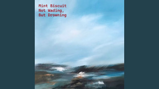 Explore the Meaning of Mint Biscuit - Feels Like Home Lyrics