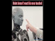 Lyrics: Negative Humanoid - Reality
