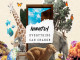 Nightly - Everything Can Change