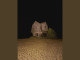 Lyrics: Overtonight Throwaways - That Boy Is Dead