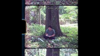 Explore the Meaning of Preston Tran - Letters Ill Never Send Lyrics