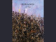 Lyrics: Propagandhi - No Longer Young