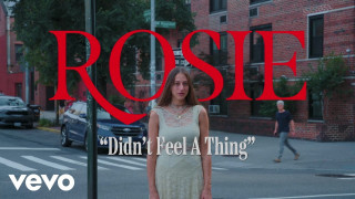 Explore the Meaning of ROSIE - Didnt Feel A Thing Lyrics