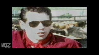 Explore the Meaning of Sacred Cowboys - Nothing Grows In Texas Lyrics