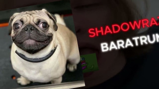 Explore the Meaning of Shadowraze - Baratrum Lyrics