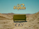 Lyrics: Sophie Hanson - Country Kinda Vibe