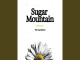 Lyrics: The Lumineers - Sugar Mountain