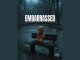 Lyrics: TVN Fallout - Embarrassed