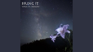 Explore the Meaning of Vyra99 - Bring It Lyrics