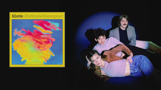 Explore the Meaning of Wombo - Overwhelming Lyrics